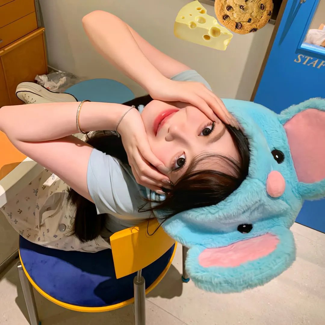 风流家族